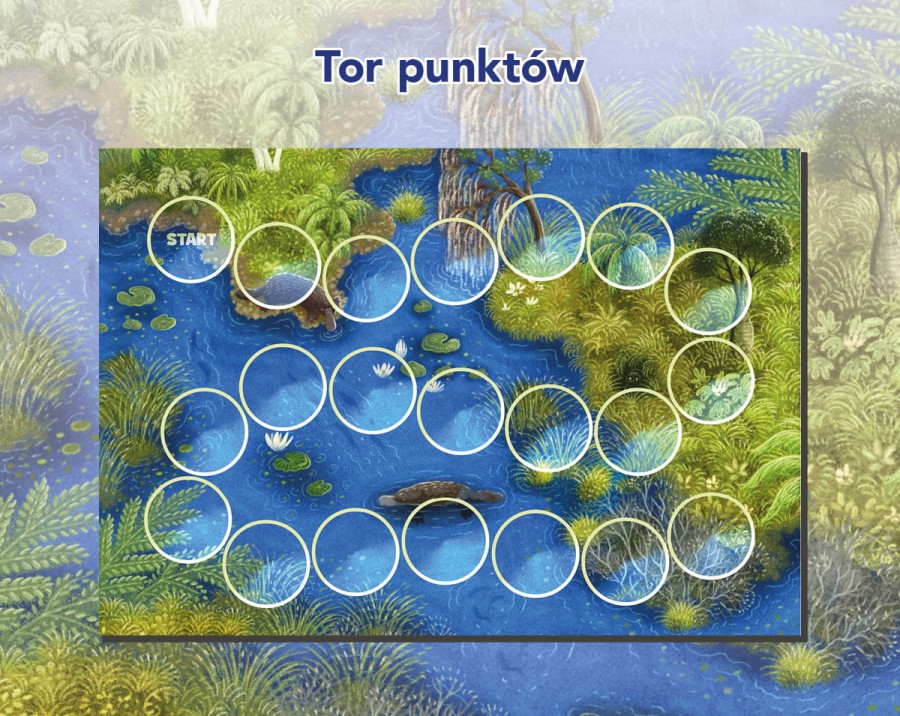 Dziobaki - Gra planszowa