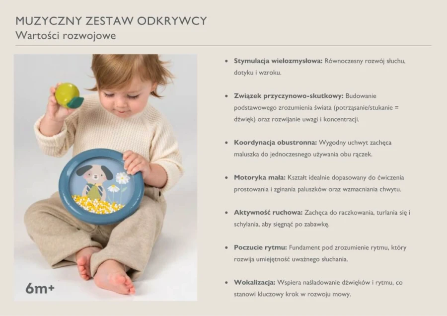 Zestaw pierwszych instrumentów muzycznych / Taf Toys