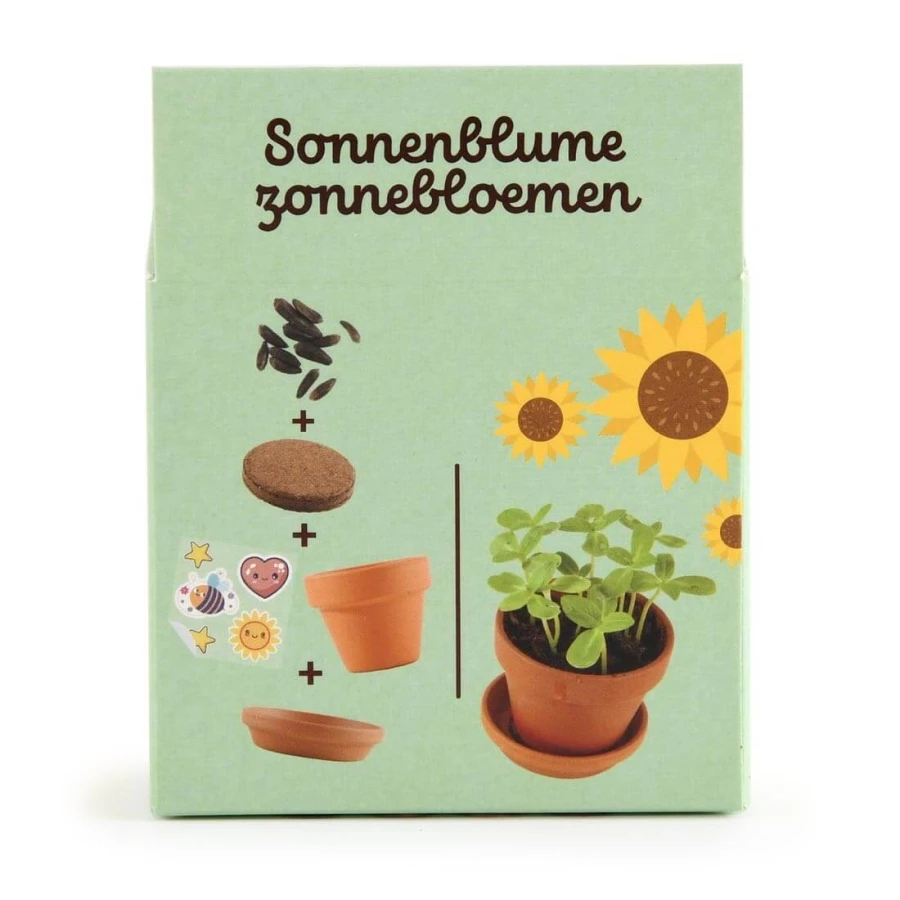 Słonecznik do samodzielnej uprawy My Little Sunflower / Radis et Capucine