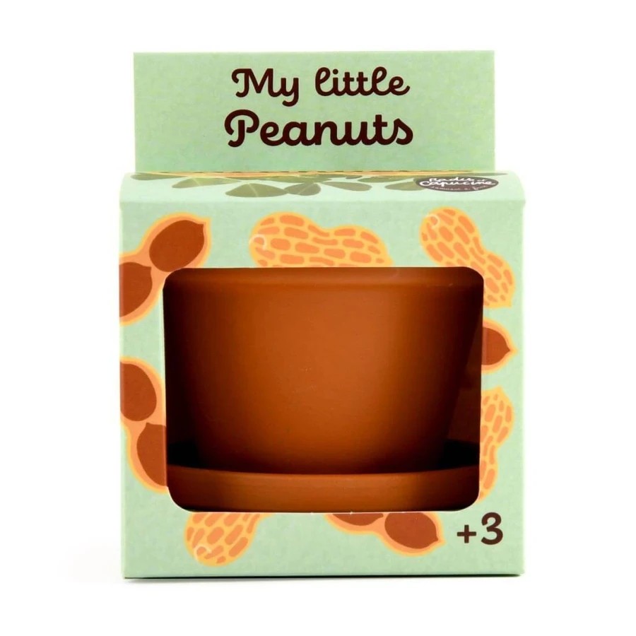 Orzeszki ziemne do samodzielnej uprawy My Little Peanuts / Radis et Capucine