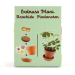 Orzeszki ziemne do samodzielnej uprawy My Little Peanuts / Radis et Capucine