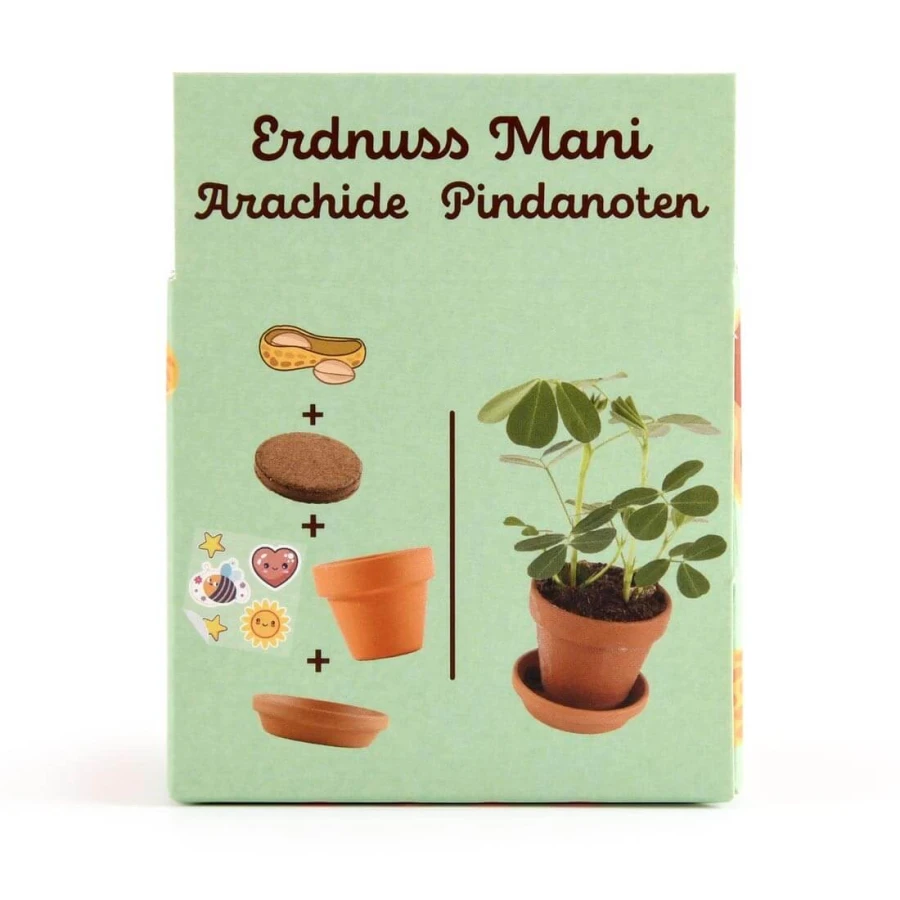 Orzeszki ziemne do samodzielnej uprawy My Little Peanuts / Radis et Capucine