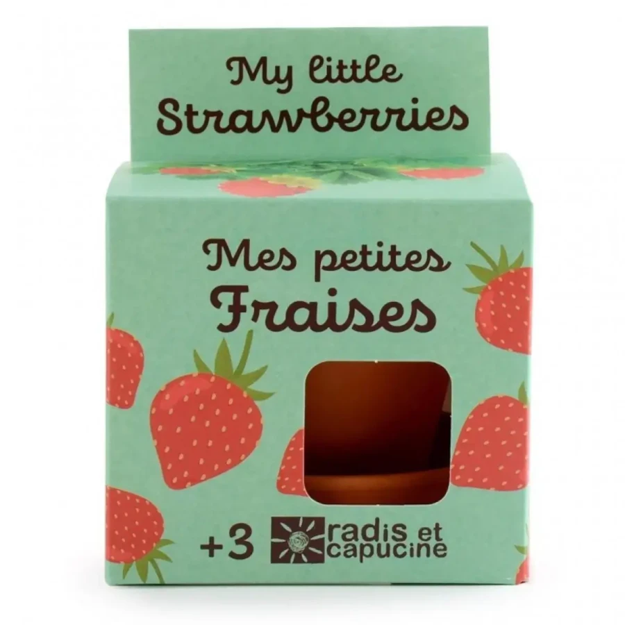 Truskawki do samodzielnej uprawy My Little Strawberries / Radis et Capucine