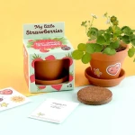 Truskawki do samodzielnej uprawy My Little Strawberries / Radis et Capucine