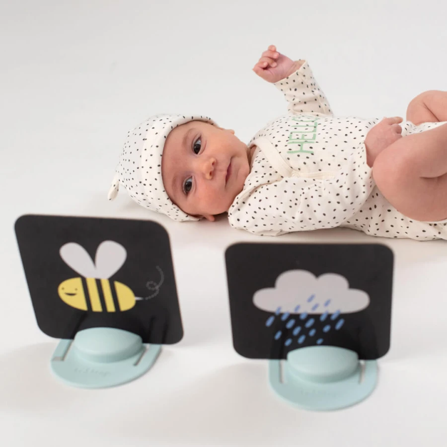 Karty Savannah z lusterkiem - zestaw edukacyjny dla niemowląt / Taf Toys