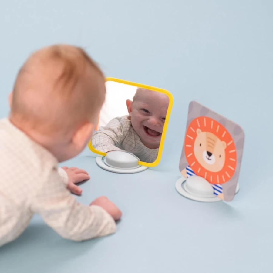 Karty Savannah z lusterkiem - zestaw edukacyjny dla niemowląt / Taf Toys