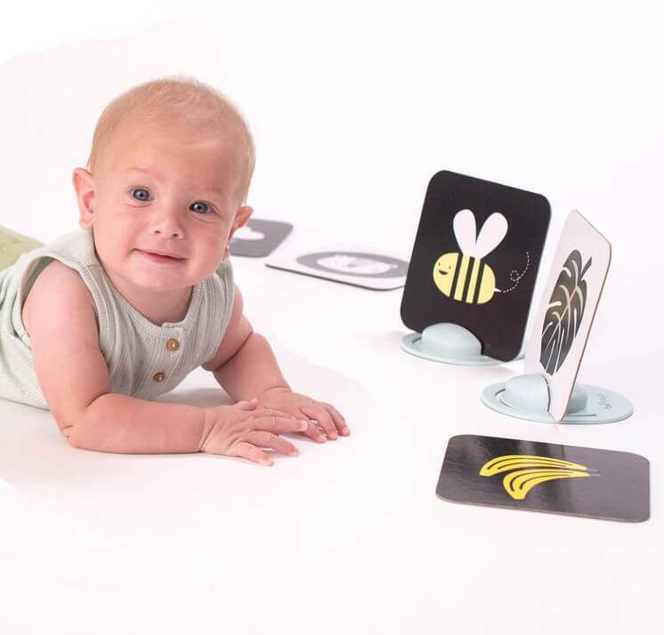 Karty Savannah z lusterkiem - zestaw edukacyjny dla niemowląt / Taf Toys