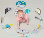 Koło interaktywne wszystko wokół mnie / Taf Toys
