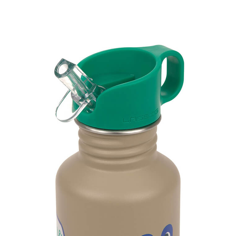 Bidon ze stali nierdzewnej z ustnikiem i uchwytem, 500 ml Happy Trails Frog / Lassig