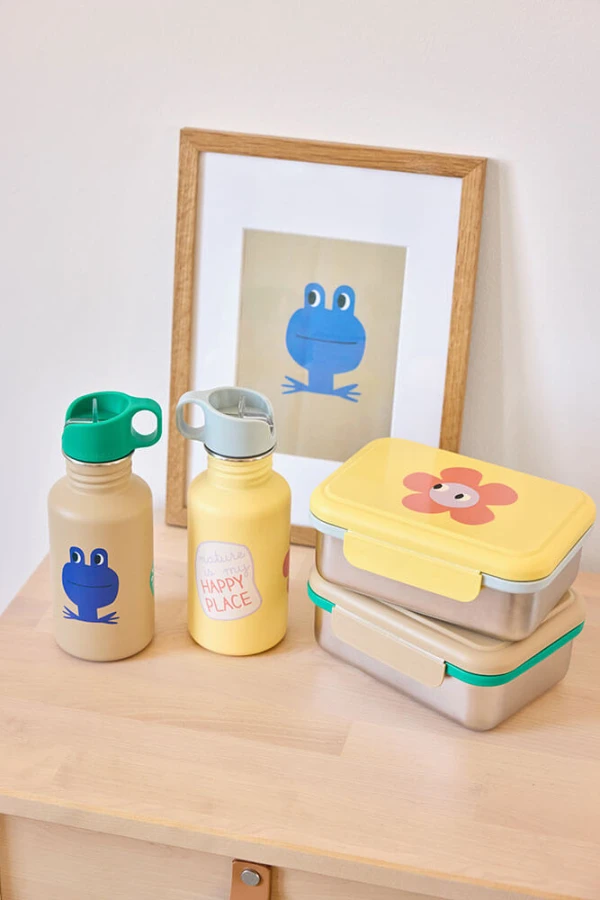Bidon ze stali nierdzewnej z ustnikiem i uchwytem, 500 ml Happy Trails Frog / Lassig