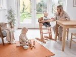 Tacka DanTray do krzesełka DanChair - mocca mousse / BabyDan