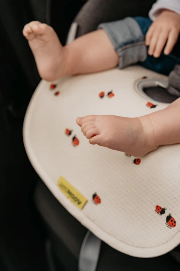 Wkładka antypotowa do fotelika 9-18kg - Ladybug / AeroMoov