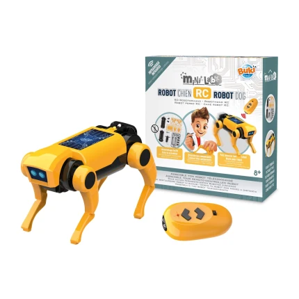 Mini lab ROBOT PIES / Buki