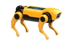 Mini lab ROBOT PIES / Buki