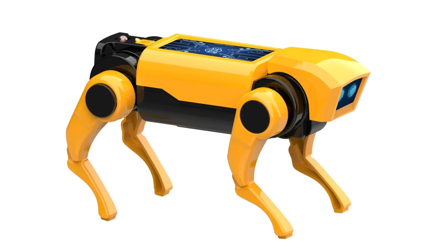 Mini lab ROBOT PIES / Buki