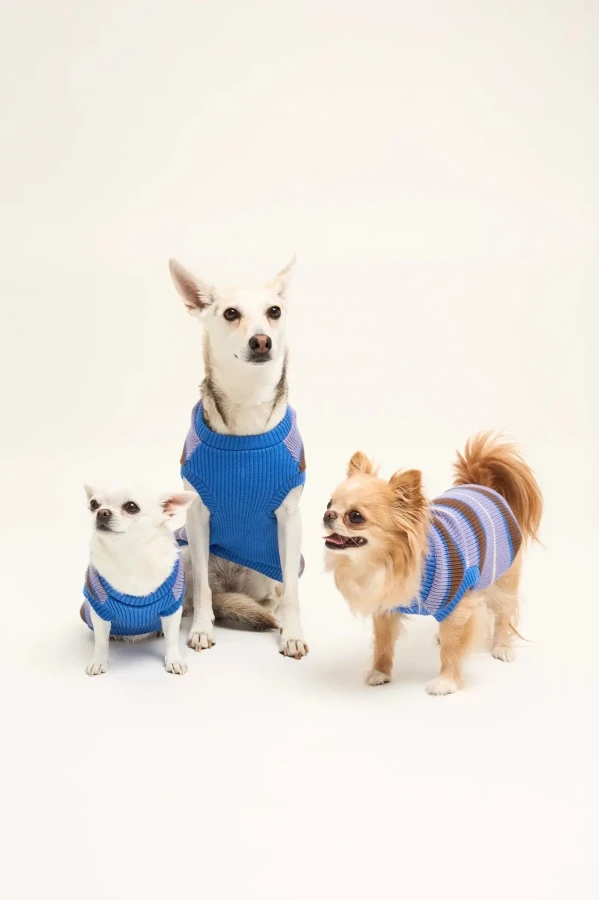 Sweter dla psa - kopenhagen stripes / Happymess