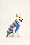 Sweter dla psa - kopenhagen stripes / Happymess