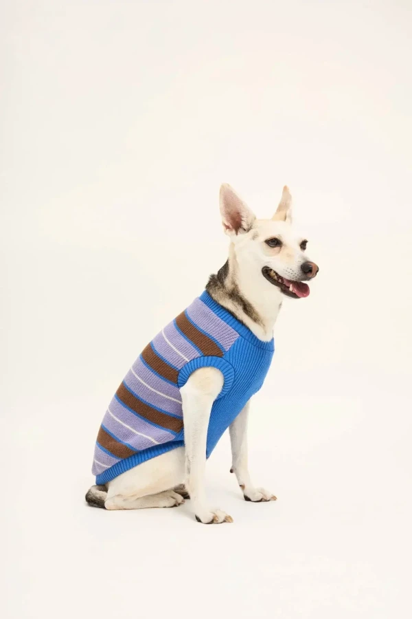 Sweter dla psa - kopenhagen stripes / Happymess