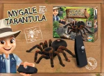 Tarantula zdalnie sterowana PTASZNIK / Buki