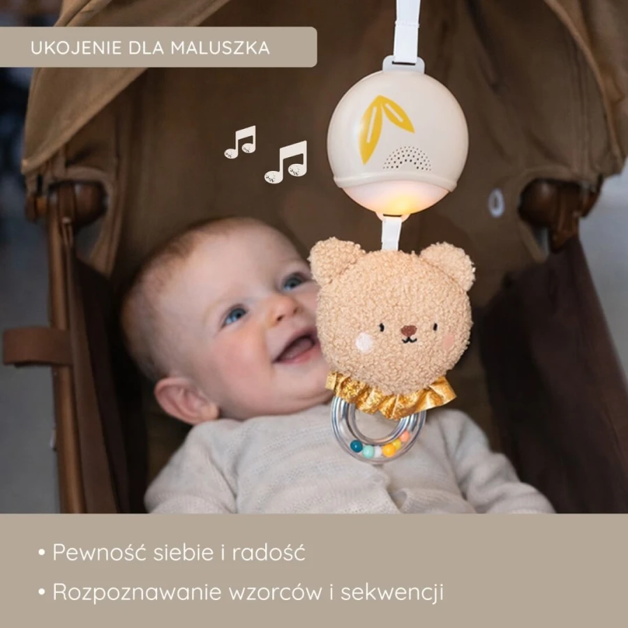 Muzyczny Miś Rozwojowy - melodie i światełka dla niemowląt / Taf Toys