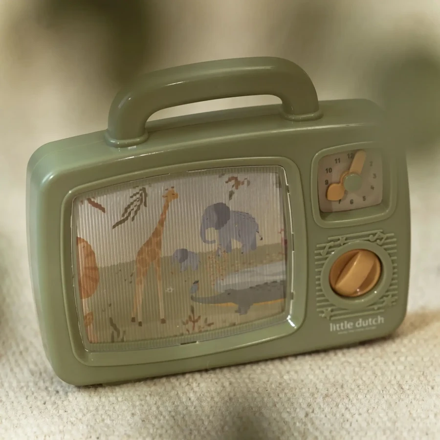 Musical TV Safari Friends / Little Dutch