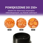 Przenośny Mikroskop Młodego Badacza 250x, 8+ / Science Can