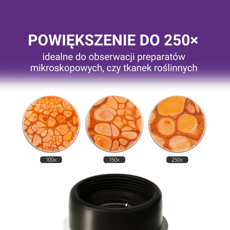 Przenośny Mikroskop Młodego Badacza 250x, 8+ / Science Can
