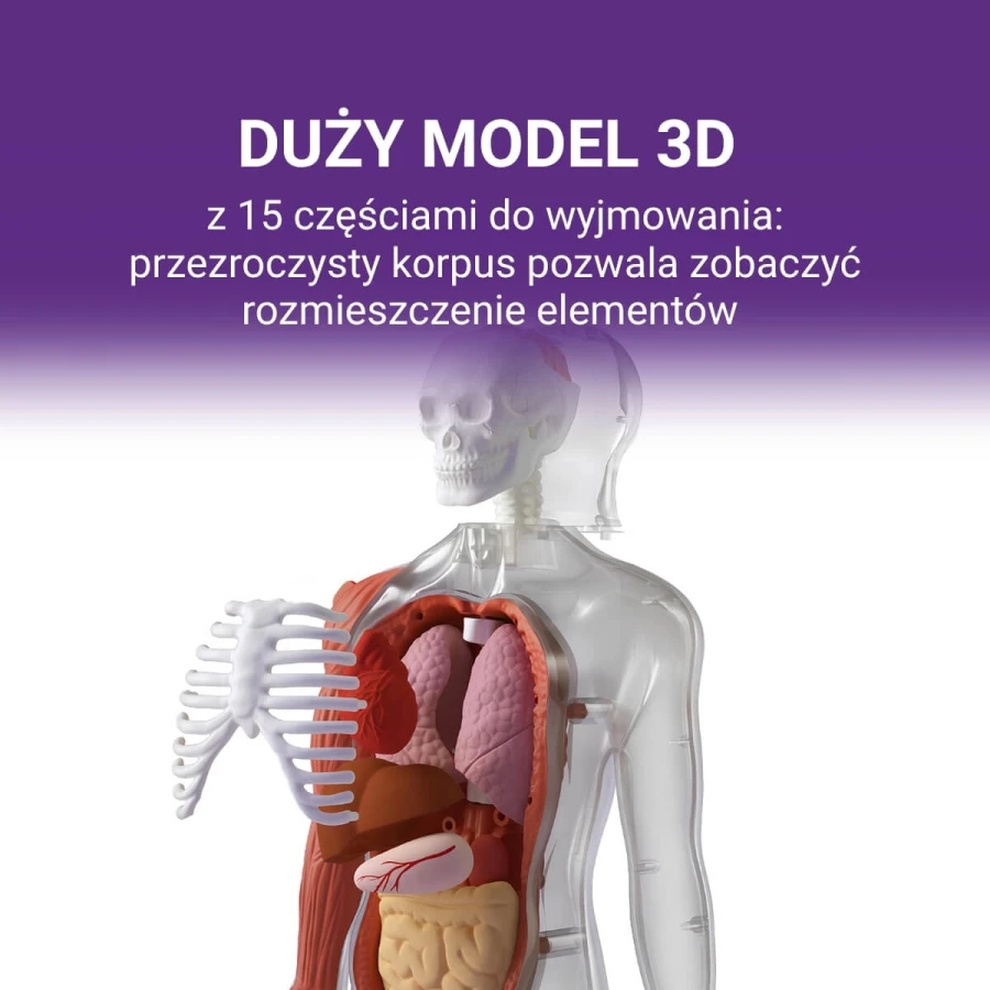 Ciało Człowieka. Interaktywny model 3D, 6+ / Science Can