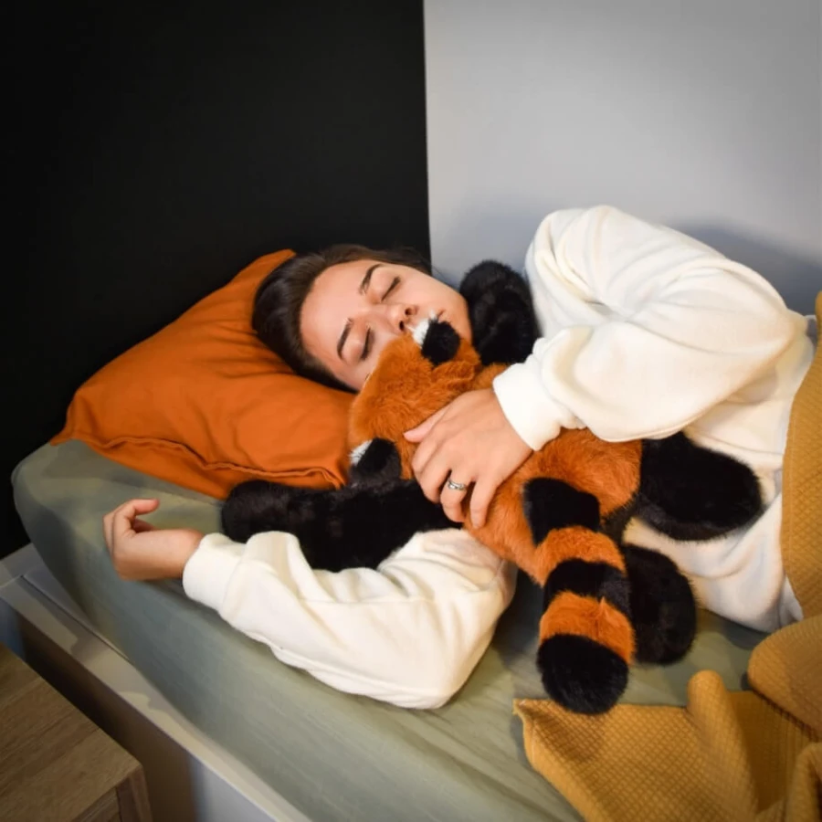 Pluszowy obciążeniowa Ruda Panda Podcoll Histoire d'Ours / Histoire d'Ours