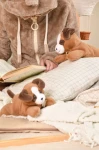 Pluszowy obciążeniowy pies brązowy Les P'tits Relax / Histoire d'Ours