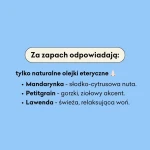 Gorzka Pomarańcza - balsam do ust, 15ml / Mydlarnia Cztery Szpaki