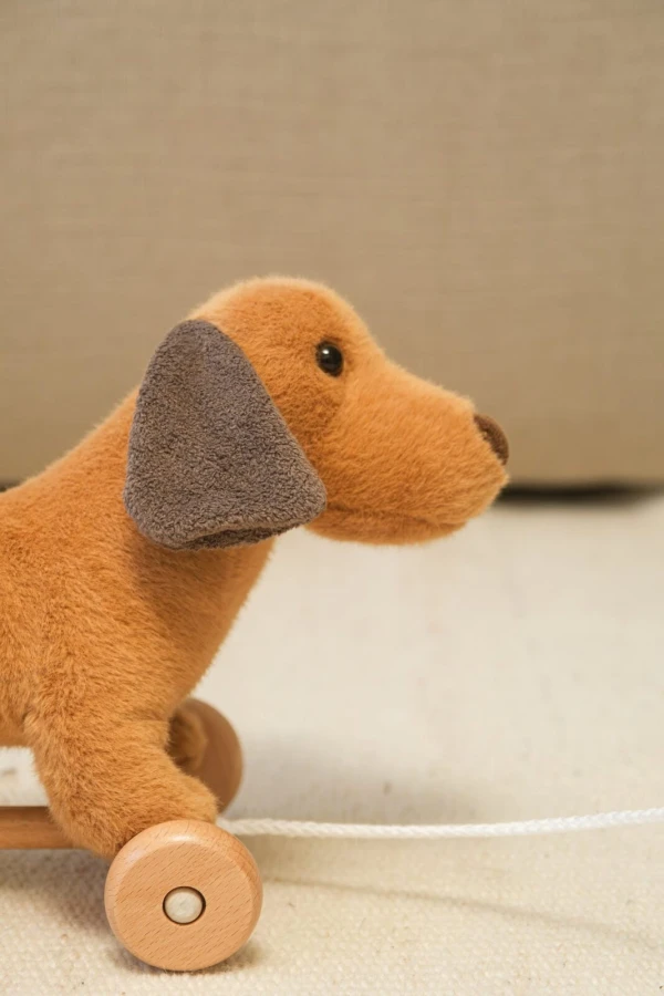 Edward - zabawka do ciągnięcia / Egmont Toys