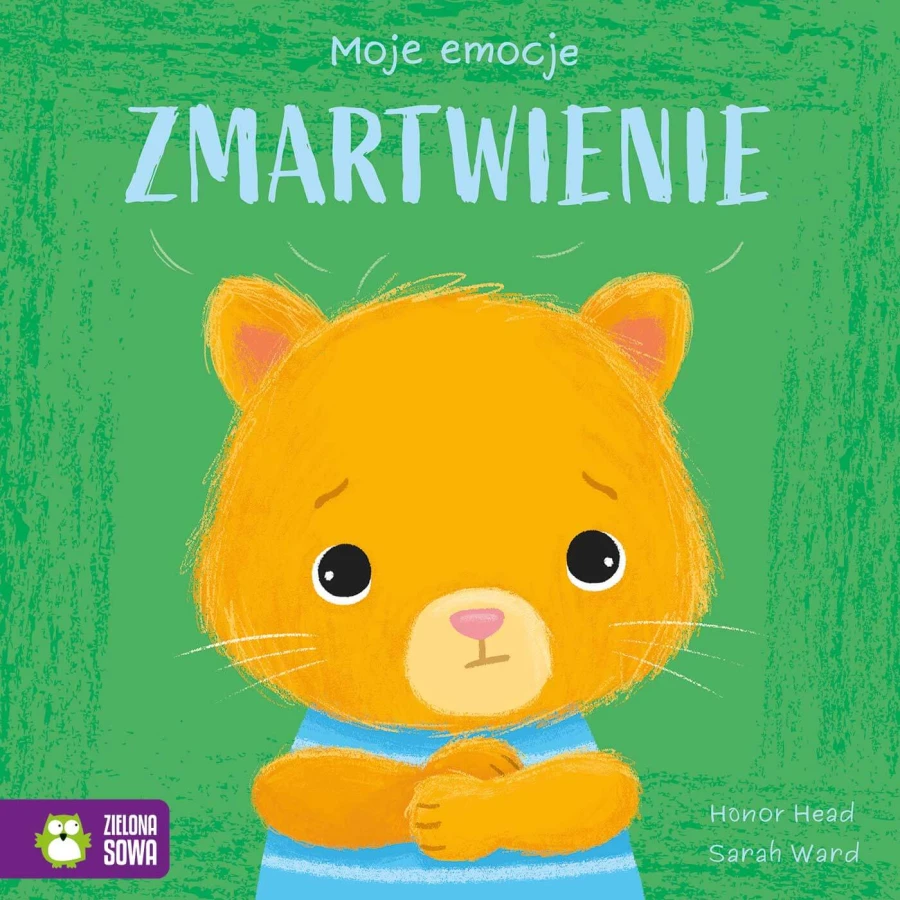 Zmartwienie. Moje emocje / Wydawnictwo Zielona Sowa