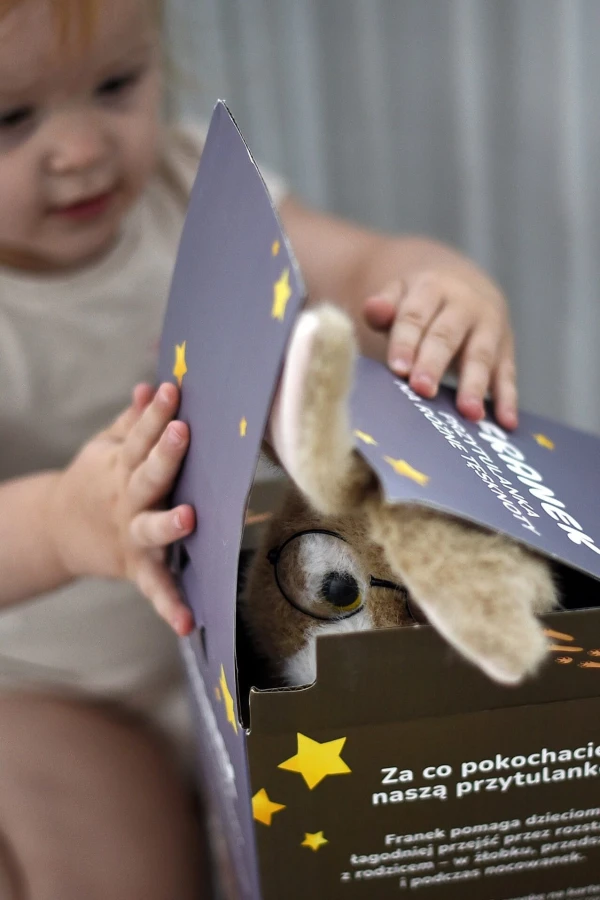 Przytulanka "Franek na różne tęsknoty" / Neverending store Anna Załęcka