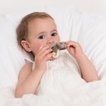 Gryzak masujący ze szczoteczką SZARY / Matchstick Monkey