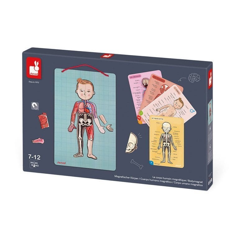 Układanka magnetyczna Ciało człowieka / Janod