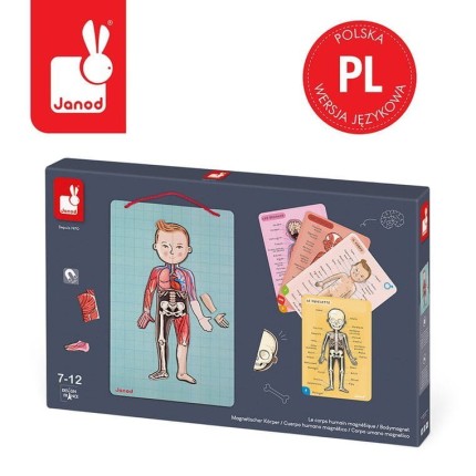 Układanka magnetyczna ciało człowieka / Janod J05491