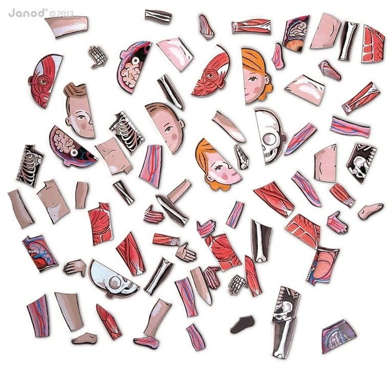 Układanka magnetyczna Ciało człowieka / Janod