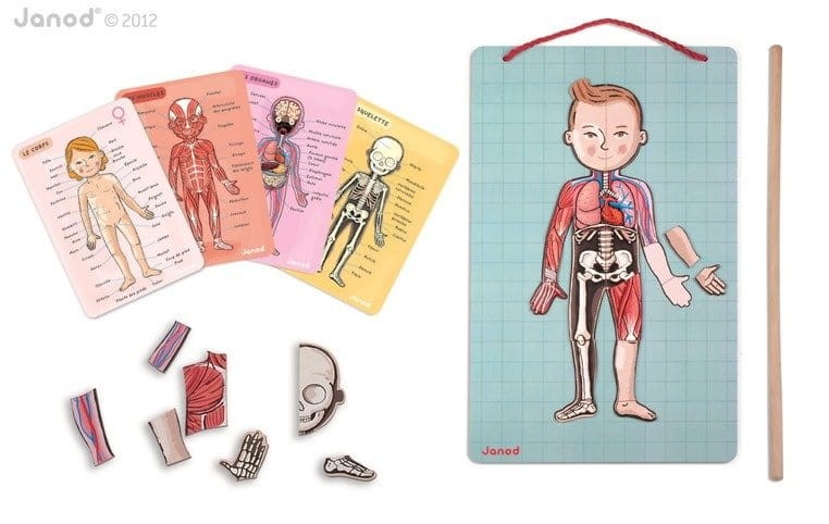 Układanka magnetyczna Ciało człowieka / Janod