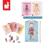 Układanka magnetyczna Ciało człowieka / Janod