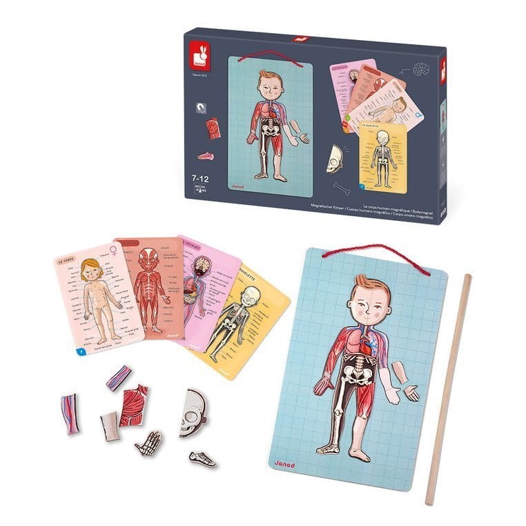 Układanka magnetyczna Ciało człowieka / Janod