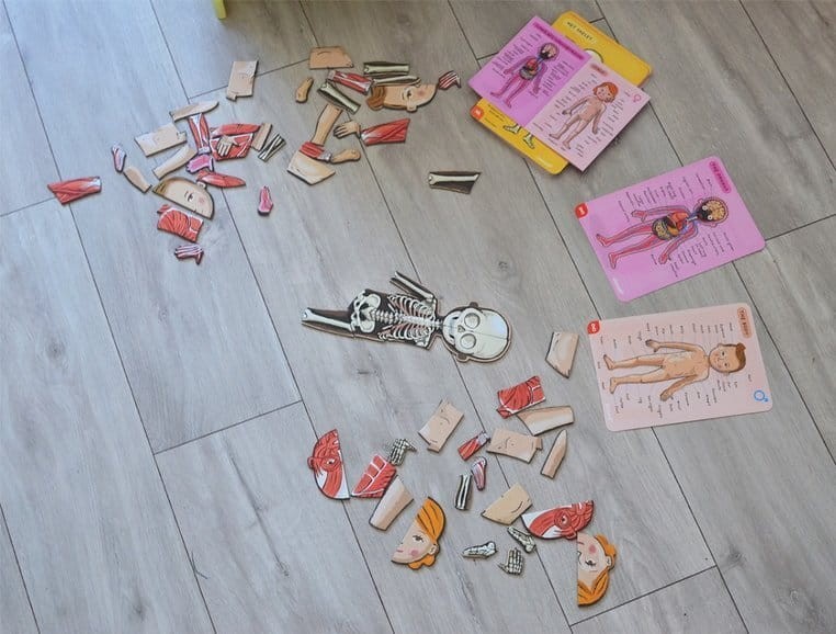 Układanka magnetyczna Ciało człowieka / Janod