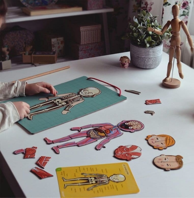 Układanka magnetyczna Ciało człowieka / Janod