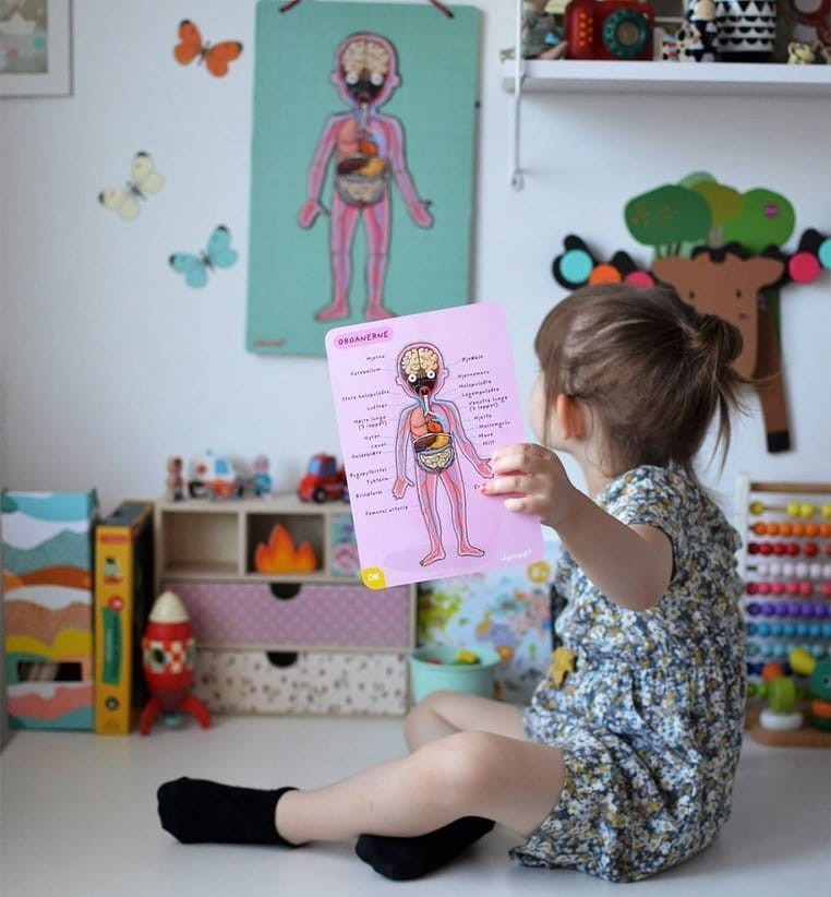 Układanka magnetyczna Ciało człowieka / Janod