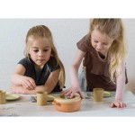 BIO zestaw obiadowy / Dantoy