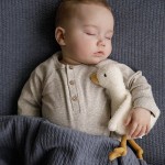 Przytulanka Little Goose 18 cm / Little Dutch
