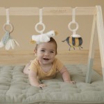 Pałąk interaktywny BabyGym Little Goose / Little Dutch
