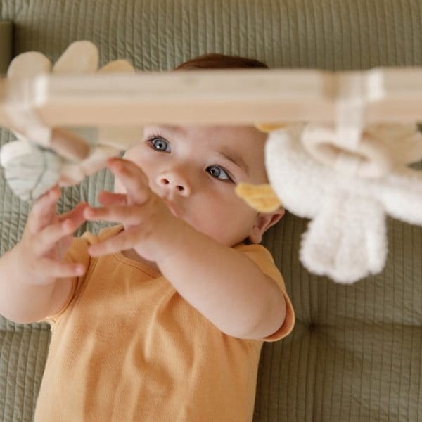 Pałąk interaktywny BabyGym Little Goose / Little Dutch