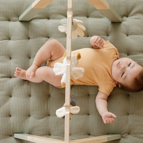 Pałąk interaktywny BabyGym Little Goose / Little Dutch