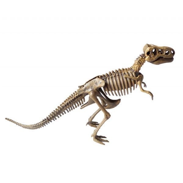 Zestaw zrób swojego Dinozaura / Auzou